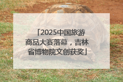 2025中国旅游商品大赛落幕，吉林省博物院文创获奖