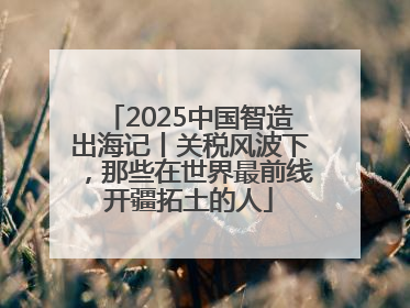 2025中国智造出海记丨关税风波下，那些在世界最前线开疆拓土的人