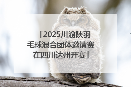 2025川渝陕羽毛球混合团体邀请赛在四川达州开赛