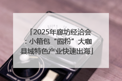 2025年廊坊经洽会：小箱包“圈粉”大咖 县域特色产业快速出海