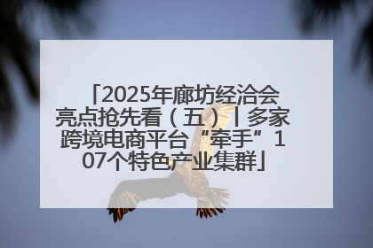 2025年廊坊经洽会亮点抢先看（五）丨多家跨境电商平台“牵手”107个特色产业集群