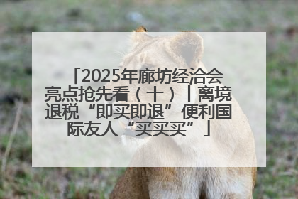2025年廊坊经洽会亮点抢先看（十）丨离境退税“即买即退”便利国际友人“买买买”