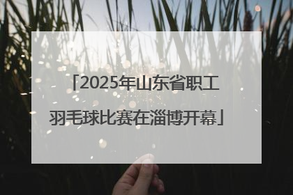 2025年山东省职工羽毛球比赛在淄博开幕