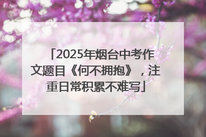 2025年烟台中考作文题目《何不拥抱》，注重日常积累不难写