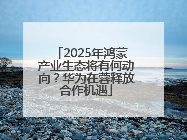 2025年鸿蒙产业生态将有何动向？华为在蓉释放合作机遇