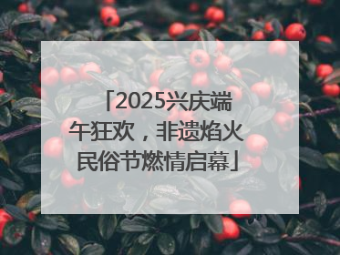 2025兴庆端午狂欢，非遗焰火民俗节燃情启幕