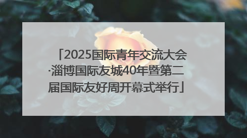 2025国际青年交流大会·淄博国际友城40年暨第二届国际友好周开幕式举行