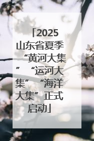 2025山东省夏季“黄河大集”“运河大集”“海洋大集”正式启动