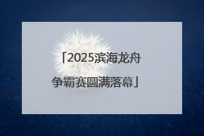 2025滨海龙舟争霸赛圆满落幕