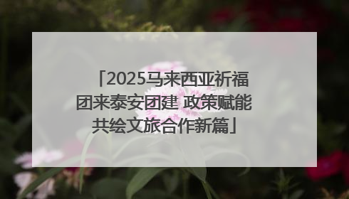 2025马来西亚祈福团来泰安团建 政策赋能共绘文旅合作新篇