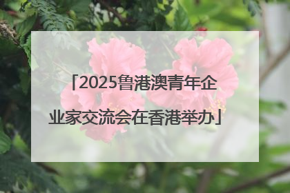 2025鲁港澳青年企业家交流会在香港举办