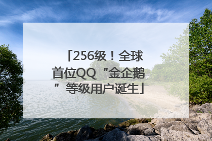 256级！全球首位QQ“金企鹅”等级用户诞生