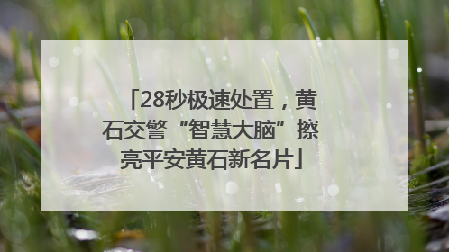 28秒极速处置，黄石交警“智慧大脑”擦亮平安黄石新名片