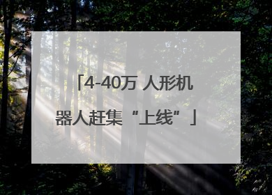 4-40万 人形机器人赶集“上线”