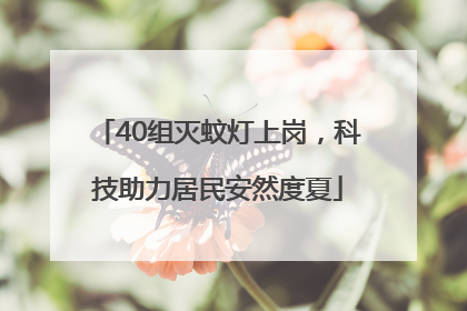 40组灭蚊灯上岗，科技助力居民安然度夏