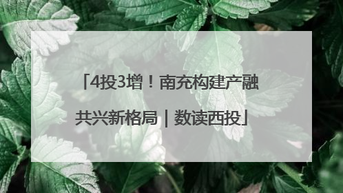 4投3增！南充构建产融共兴新格局｜数读西投