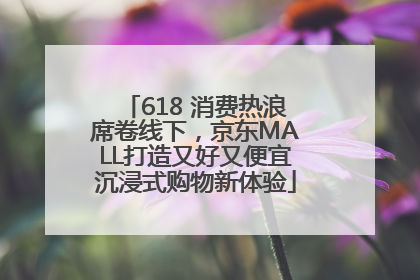 618 消费热浪席卷线下，京东MALL打造又好又便宜沉浸式购物新体验
