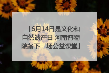 6月14日是文化和自然遗产日 河南博物院备下一场公益课堂