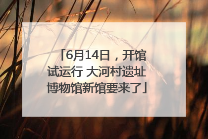 6月14日，开馆试运行 大河村遗址博物馆新馆要来了