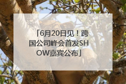 6月20日见！跨国公司峰会首发SHOW嘉宾公布