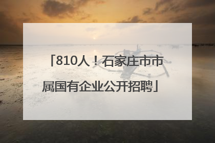 810人！石家庄市市属国有企业公开招聘