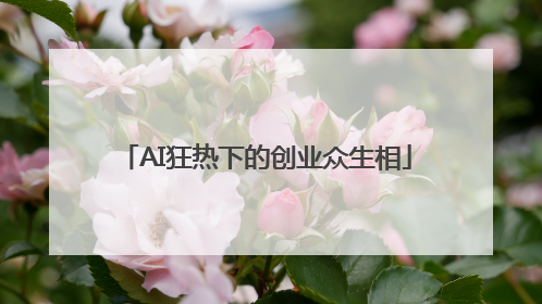 AI狂热下的创业众生相