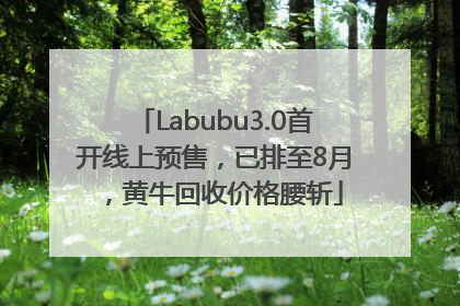 Labubu3.0首开线上预售，已排至8月，黄牛回收价格腰斩