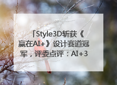 Style3D斩获《赢在AI+》设计赛道冠军，评委点评：AI+3D技术世界第一