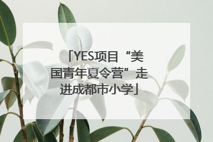 YES项目“美国青年夏令营”走进成都市小学